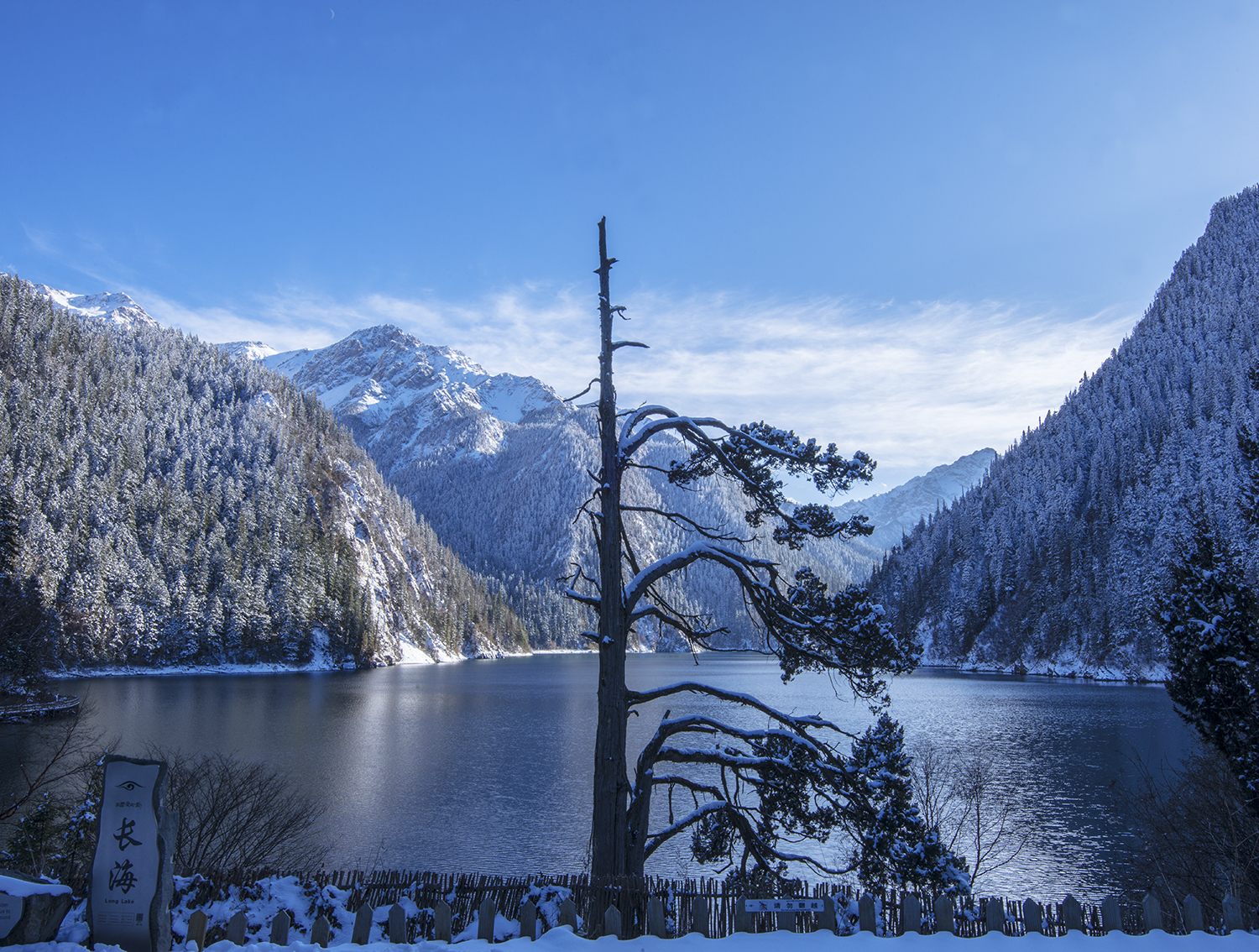 长海岸边的老人柏 2017年11月24日拍拍摄于九寨沟长海景点展现了九寨沟标志性景点及长海岸边老人柏初冬时节景象，展现了九寨沟初冬时节如诗如画的静谧和唯美  摄影 建措.jpg