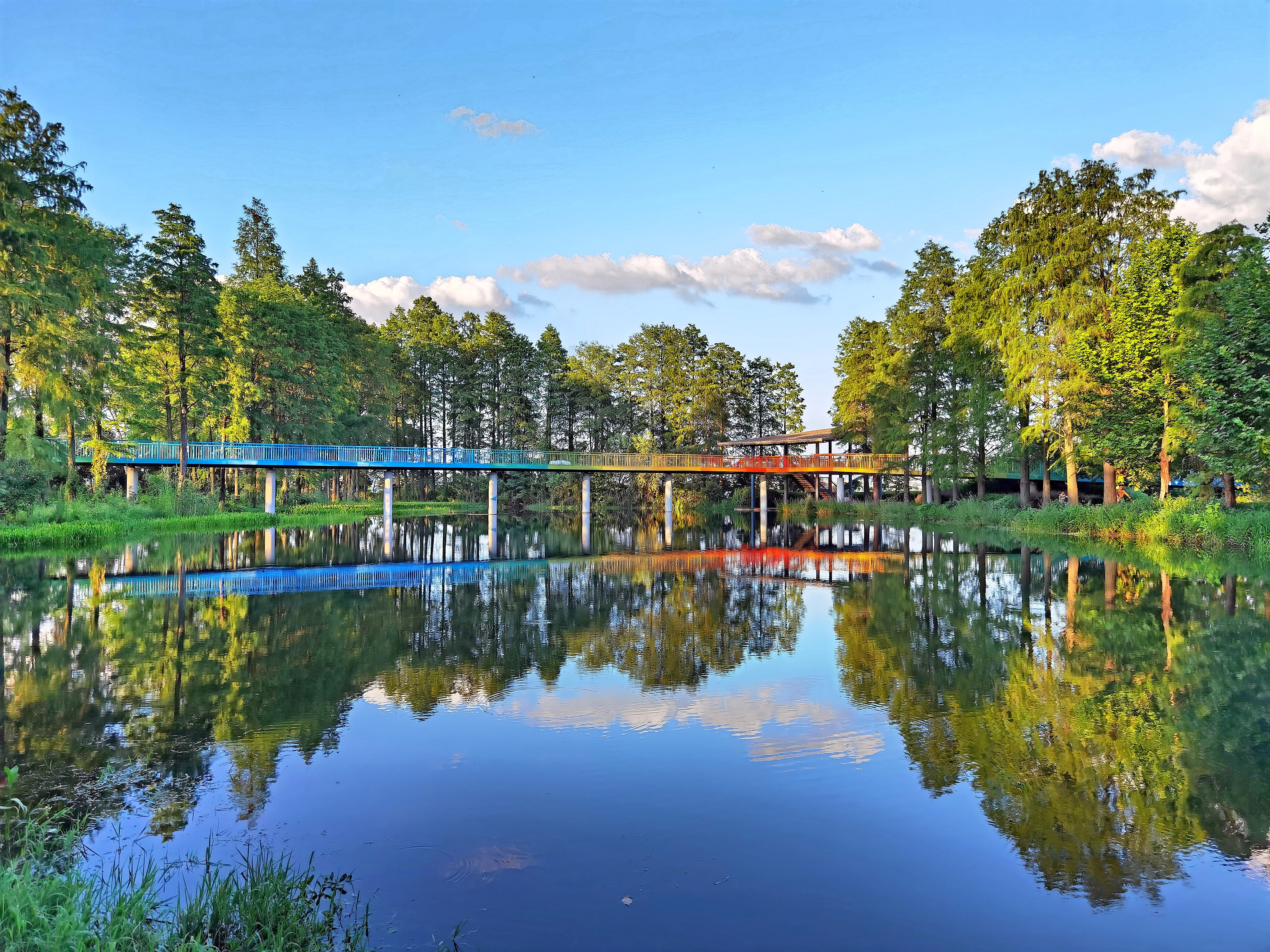 湿地流彩（马戎 摄）.jpg