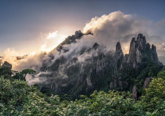 图为：三清山春景，万物复苏，绿意盎然